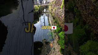 Japans Amazing Clean Waterways [upl. by Hgielra]