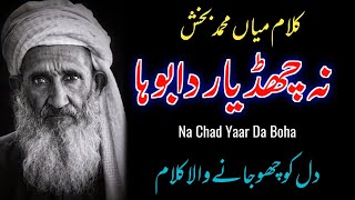 Na Chad Yaar Da Boha ll Kalam Mian Muhammad Bakhsh ll Sufiana Kalam badarstudio1 [upl. by Arac]