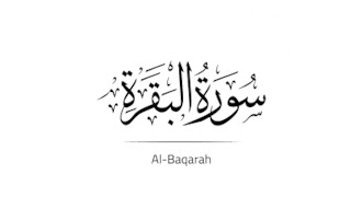 Memorizing Surah Al Baqarah 15 with tajweed [upl. by Llehsar]