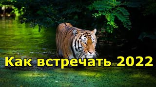 Год какого животного 2022 по восточному календарю [upl. by Esineg]