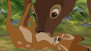 Bambi and the Great Prince Scene  Bambi 2 HD [upl. by Trbor]