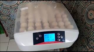 hhd egg incubator 56 فقاسه بيض  الديك الرومي اليوم أول [upl. by Kentigera]