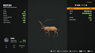 Beceite ibex  4Diamond  theHunter Call of the Wild 2024 05 24 [upl. by Worl93]