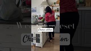 CHORES CHORES CHORES chores homemaker ditl [upl. by Read832]