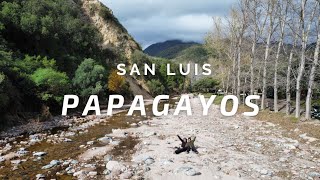 ENCONTRAMOS una JOYA sobre la RUTA 1  PAPAGAYOS  San Luis [upl. by Tessie129]