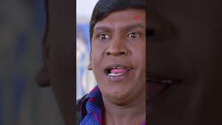 Watch full video👆Chandramukhi Comedy Scenes  chandramukhi rajinikanth vadivelu comedy shorts [upl. by Eaned814]