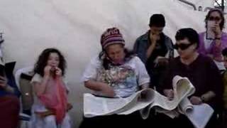 Reading the Megillah at the Western Wall [upl. by Yhotmit145]