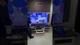 65” tv  SELChannel47 [upl. by Esyned84]