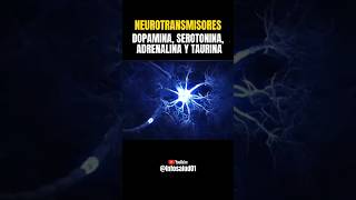 Neurotransmisores medicina salud sabiasque datoscuriosos hormonas [upl. by Gaspard]