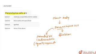 Parenchyma cells are [upl. by Ahgiela]