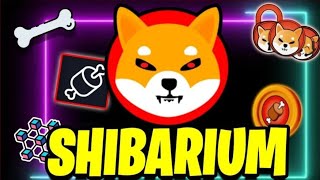 SHIBARIUM RELEASE DATE HOW MUCH SHIB WILL BE BURNED 🤔🔥 [upl. by Tnomel]