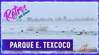 E28 Parque Ecológico TEXCOCO [upl. by Abehsile]