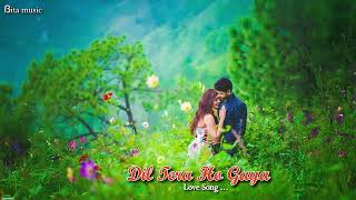 Dil Tera Ho Gaya  Full Song  New Song 2024  Love Song  ẞita music [upl. by Dagall287]