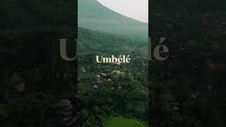 New music this Friday with ebokrdum 🤍🙌🏼 ”Umbélé”new music friday organichouse [upl. by Salas]