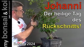 Bonsai 202440  Johannestag  der heilige Tag des Rückschnitts [upl. by Onig]