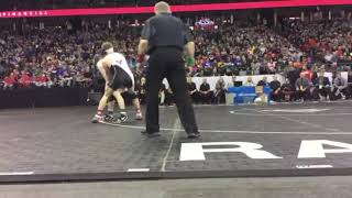 2017 Wisconsin State Wrestling Finals Shane Liegel River Valley vs Nate Trepanier Oconto Falls [upl. by Ecnerwal509]