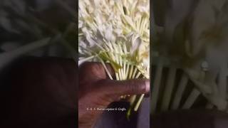 மரமல்லிப் பூ கட்டும் தொடுக்கும் முறை Subscribers விருப்பம்  How to tied tree jasmine [upl. by Kcirddec]