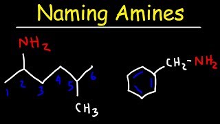 Naming Amines  IUPAC Nomenclature amp Common Names [upl. by Palm103]