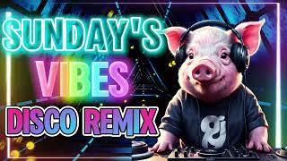 SUNDAYS VIBET  BEST OF REMIX DISCO 70S 80S 90S  NONSTOP DISCO REMIX PARTY [upl. by Sclater652]