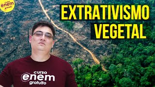 EXTRATIVISMO VEGETAL NO BRASIL  Resumo de Geografia para o Enem [upl. by Labannah597]