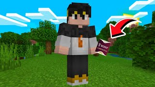 24 Horas Para Completar O Álbum Da Copa No Minecraft [upl. by Follansbee361]