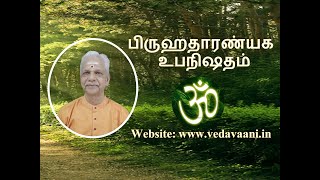 BrihadaranyakamTalk20Ch1Sec4Mantra 910Mahavakya Bhashyam2dt 3124 [upl. by Lilac]