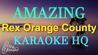 AMAZING  REX ORANGE COUNTY KARAOKE HQ [upl. by Negam778]