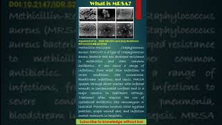 Methicillin Resistant Staphylococcus aureus MRSA educationalvideo microbiology [upl. by Finnigan]