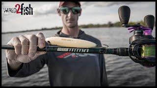 4 Gear Tips for Better Topwater Bass Fishing [upl. by Ellednahc]