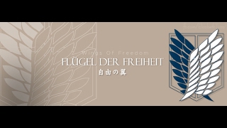 Die Flügel der Freiheit 自由の翼 Piano Short VersionTV [upl. by Susannah]