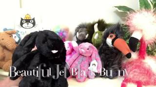 JellyCat Bashful Bunnies 2017 Collection arrive at Magpies Gifts [upl. by Boy]