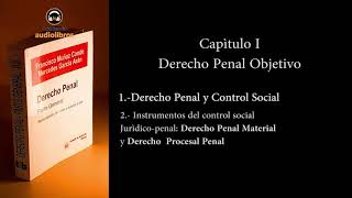 DERECHO PENAL GENERAL DOGMATICA PENAL AUDIOLIBRO [upl. by Tergram]