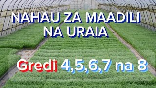 NAHAU ZA MAADILI NA URAIA GREDI 4567 NA 8 [upl. by Miharba740]