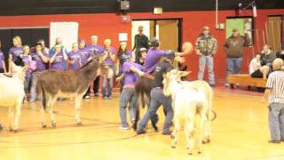 Donkey Basketball in Kirbyville Texas [upl. by Cally127]