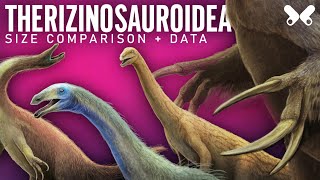 THERIZINOSAURIA Dinosaurs size comparison and data [upl. by Eldredge]