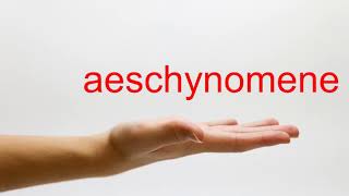 How to Pronounce aeschynomene  American English [upl. by Mann]