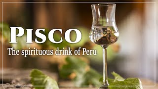 Pisco the spirituous drink of Peru [upl. by Eilsew59]