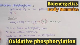 Oxidative Phosphorylation  Class 11 Biology [upl. by Hannahoj]