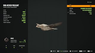 RingNecked Pheasant  1Leucistic  theHunter Call of the Wild 2024 05 24 [upl. by Kevina]