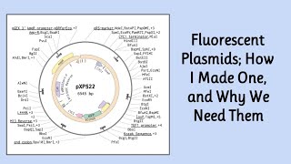 Editing A Plasmid  Synthetic Biology [upl. by Etienne997]