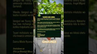 HIZI NDO SABABU ZA YANGA KUACHANA NA GAMONDI yangasc gamondi [upl. by Durnan98]