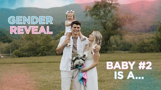 OFFICIAL GENDER REVEAL BABY CLARK IS A… [upl. by Alohs]