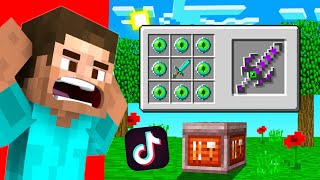 Viral Minecraft TikTok Hacks That Actually Works  Mcaddon  Minecraft Hindi [upl. by Fachan323]