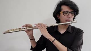 Playing God  Polyphia  Flute Cover [upl. by Farika159]