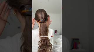 Clip amp Go Chic Barrette Styles for Fall🤎 [upl. by Eussoj867]