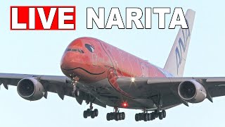 LIVE 成田空港 ライブカメラ 10月23日  Narita Airport Live on October 23 2023 [upl. by Livy456]