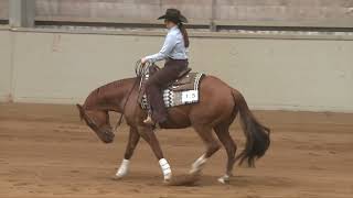 NRHA Oceania 2024  Beginner Reiner Super Challenge 4 Champion [upl. by Egrog]