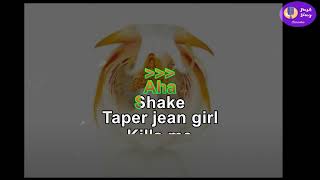 Kings Of Leon  Taper Jean Girl Karaoke version [upl. by Trubow]