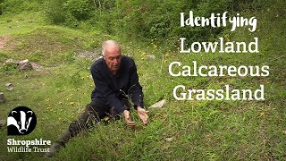 Lowland Calcareous Grassland  Habitat Mapping Project  Nature Recovery Network [upl. by Leval]