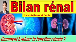 Interpréter un bilan rénal créatinine et urée Les Indicateurs Clés de la Santé de vos Reins [upl. by Kania]